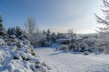a snowy winter garden with the sun in the background