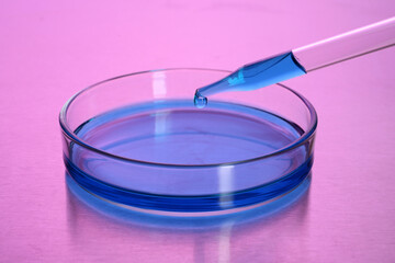 Dripping blue liquid into Petri dish with sample on table, toned in pink