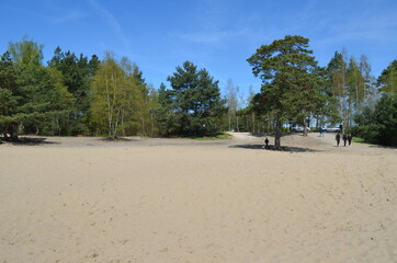 Pustynia Błędowska, punkt widokowy w Chechle