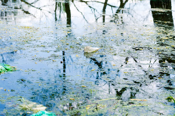A disposable plastic bottle was thrown into the river. Pollution of nature. Water pollution. Environment protection