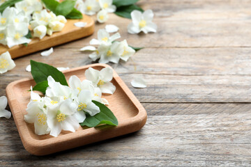 Fototapeta na wymiar Plate with beautiful jasmine flowers on wooden table. Space for text