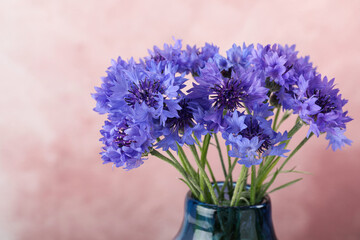 Bouquet of beautiful cornflowers in glass vase against pink background, closeup
