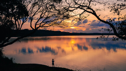 Atardecer puesta de sol arboles nubes