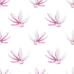 Magnolia flower on white background seamless pattern