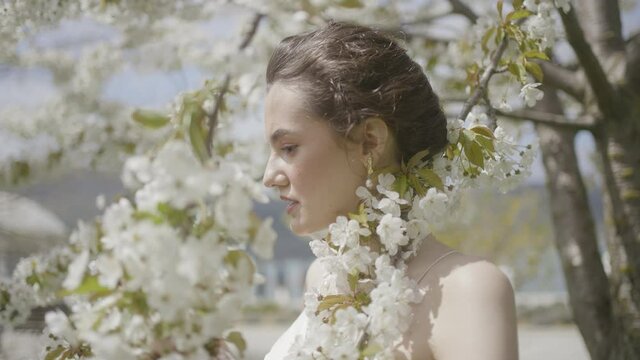 Beautiful bride at blooming apple tree. Action. Young bride poses by flowering tree at wedding photo shoot. Tender images of bride with blooming tree in spring