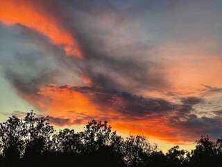 Silhouette tree tops and sunset. Trees against sun. Dark trees and dramatic sky.