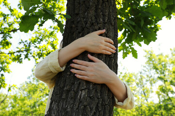 Woman hugging tree trunk in forest on sunny day