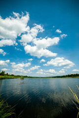 Summer lake near the forest with trees.