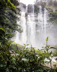 Obraz premium waterfall in the jungle