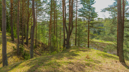 Fototapeta premium Tver Oblast, Russia