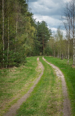 Fototapeta na wymiar Tver Oblast, Russia