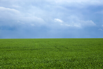 Beautiful view of green field and sky with clouds