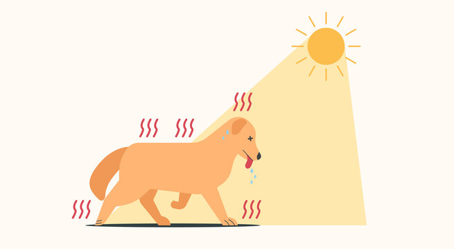 Dog Walking In The Sun And Have Heat Stroke Symptoms, Vector Flat Illustration