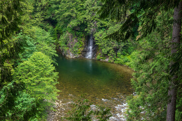 Obraz premium Hidden Waterfall and Pond Outdoor Nature Landscape Scenic