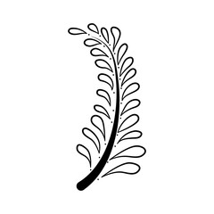 Hand drawn doodle leaves. Black and white line art.