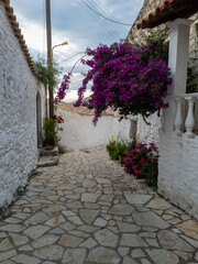 Fototapeta na wymiar Afionas village in corfu greece