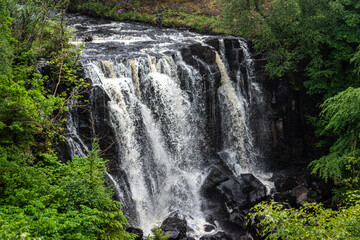 waterfall in the forest