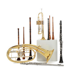 Set of wind musical instruments on white background