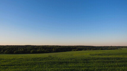 Fototapeta na wymiar Landscape of a green field with a blue sky