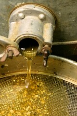 Honey flowing out from honey centrifuge, honey extracting.