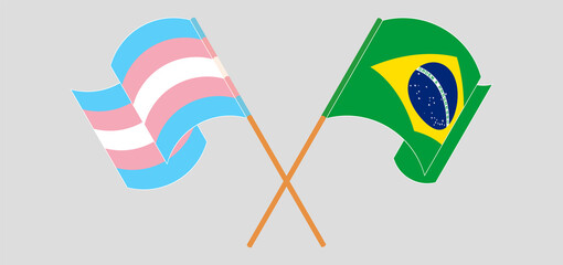 Crossed and waving flags of transgender pride and Brazil