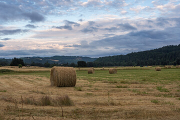 Rolled hay bale on a field at sunset