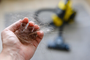 A bunch of hair in a man's hand after vacuuming at home. Shallow depth of field. Selective focus on the hair bun.