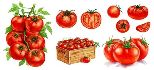 Fotobehang Tomatoes in the box, tomatoes with a leaf, tomatoes on a branch. Set of watercolor illustrations for labels, menus, or packaging design. © Evgeniy Zotov