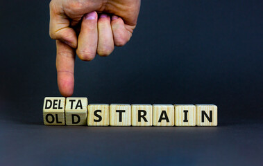 Covid-19 old or delta strain symbol. Doctor turns wooden cubes and changes words old strain to delta strain. Beautiful grey background, copy space. Medical, Covid-19 old or delta strain concept.