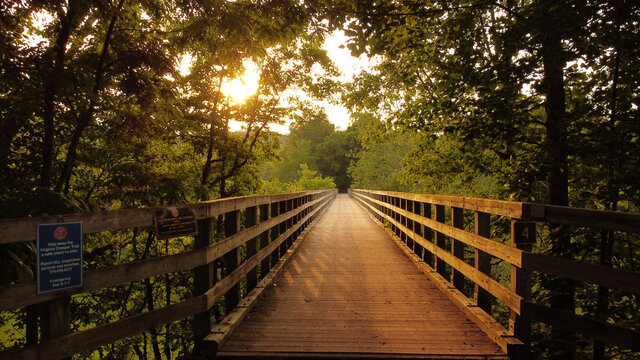 Narrow Wooden Footbridge Through Forest Trees At Sunset