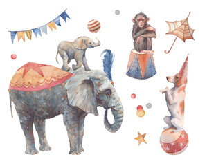 Watercolor circus set. Hand drawn illustrations: trained dog and monkey, elephant pyramid, flags garland and other trick accesorises. Isolated retro objects