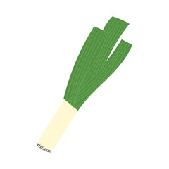 Leek. Flat hand drawn textured illustration of garden green onion.