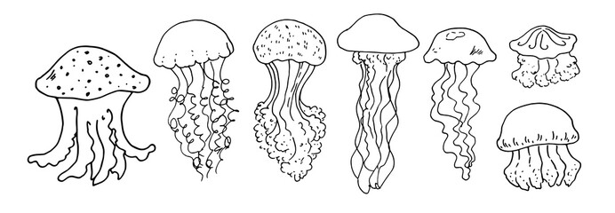 Vector set of jellyfish. hand-drawn jellyfish in a sketch style of different shapes with long and short tentacles with a pattern of dots and stripes isolated black line on a white background for a des