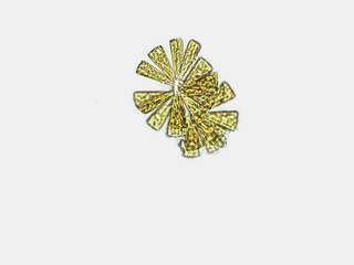 Diatom algae under microscopic view x100, freshwater
