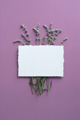 Creative flat lay composition with blank paper card mockup and bunch of lavender flowers on purple...