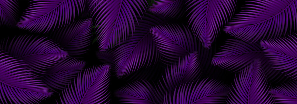 Summer Tropical Neon Violet Design Background, Tropic Palm Leaves. Illustration Wallpaper Vector.