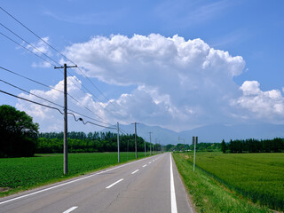 北海道の道