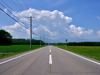 Fototapeta premium 北海道の道