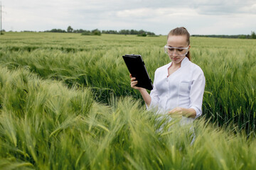 Young woman farmer wearing white bathrobe is checking harvest progress on a tablet at the green...
