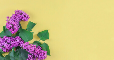 .Bouquet of lilac flowers..A bouquet of lilac flowers lies on the left on a yellow background with space for text on the right, close-up top view.