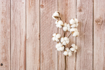 Decorative cotton branch with many buds on light wooden table
