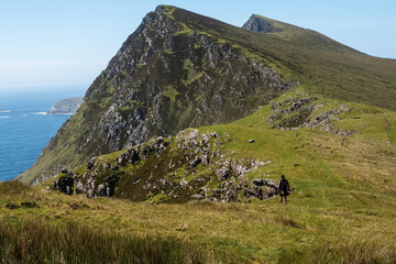 Fototapeta na wymiar Man walking in a mountains, Achill island, county Mayo, Ireland. Warm sunny day, Hiking and travel in Ireland. Beautiful scenery, Irish landscape