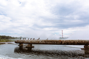 Combined heat and power plant and a lake with cooling fountains. CHP for the production and supply of the city's population with electricity and hot central water supply. Technology and nature