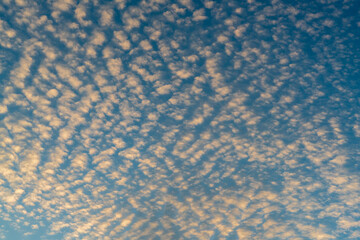 The Coast line of Lake Erie in Erie County
