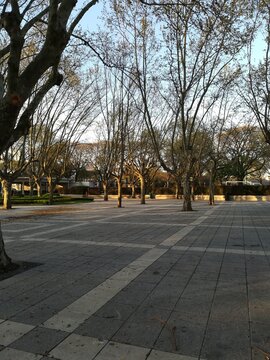 Hipodromo de Palermo