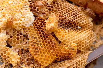 Old honeycomb close-up with the remains of honey. Beekeeping on the farm. Breeding of bees and...