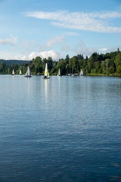 Sailboats on Lake Washington in Renton, Washington.