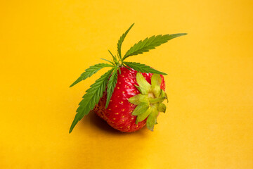 fresh strawberry with marijuana leaf on yellow background close-up, cannabis variety with...