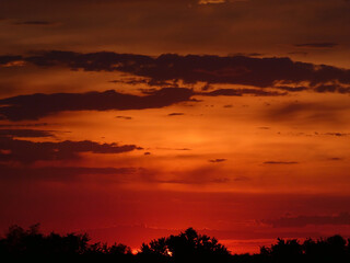 Sky with colorful clouds at sunrise as a background