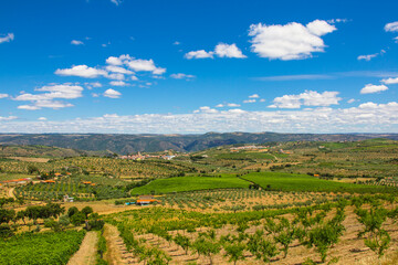 Fototapeta na wymiar Landscape view of Freixo de Espada a Cinta - Portugal. Landscape view of Douro Natural Park - Portugal